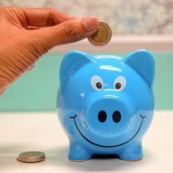 Subscription Fund