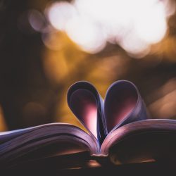 enamorado