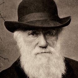 charles darwin contribution to psychology