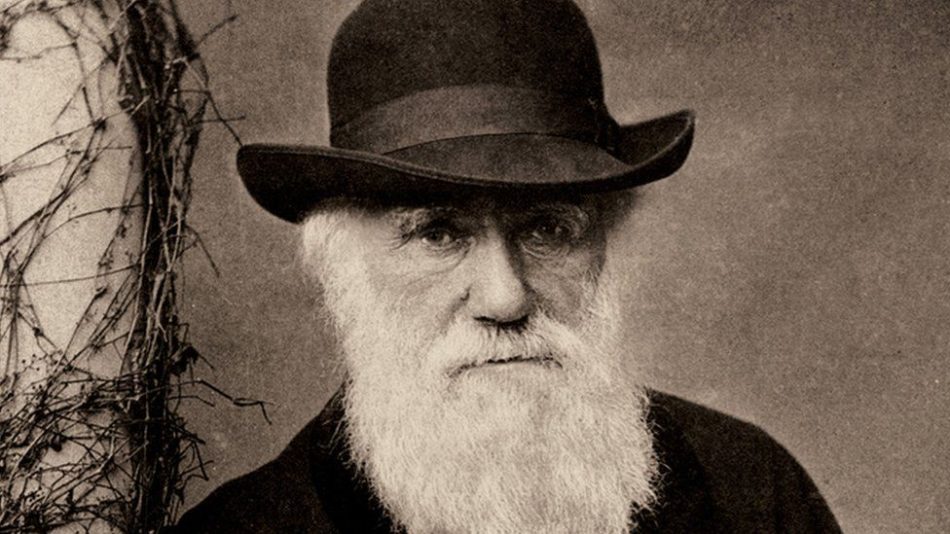 charles darwin contribution to psychology